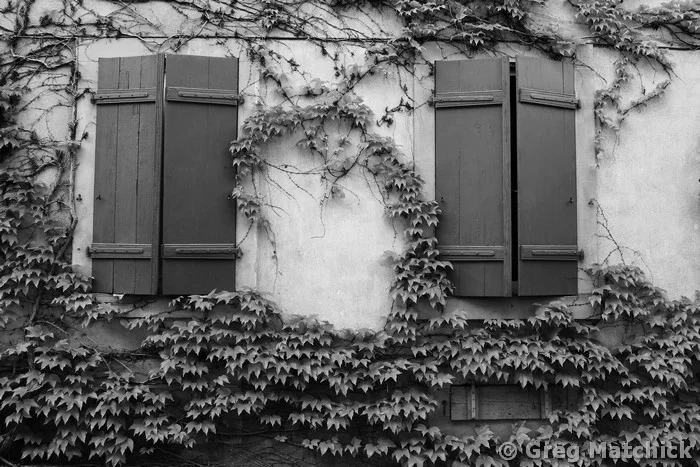 Shutters and Ivy in Riquewihr France