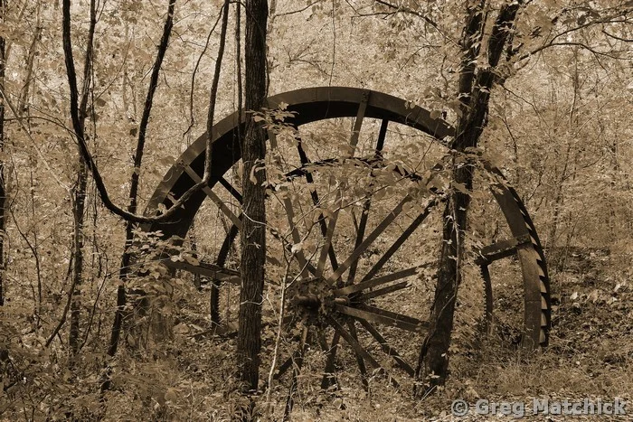 Old Mill Wheel in the Woods