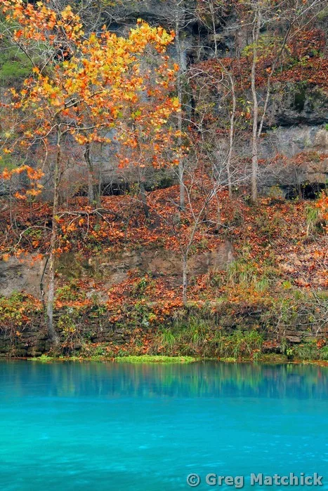 The Blue Waters of Alley Spring 2