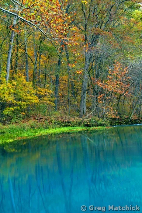 The Blue Waters of Alley Spring 4
