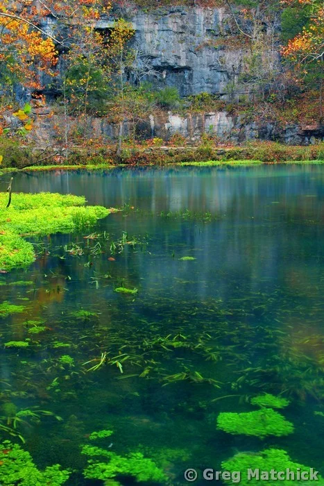 Watercress and Bluffs at Alley Spring