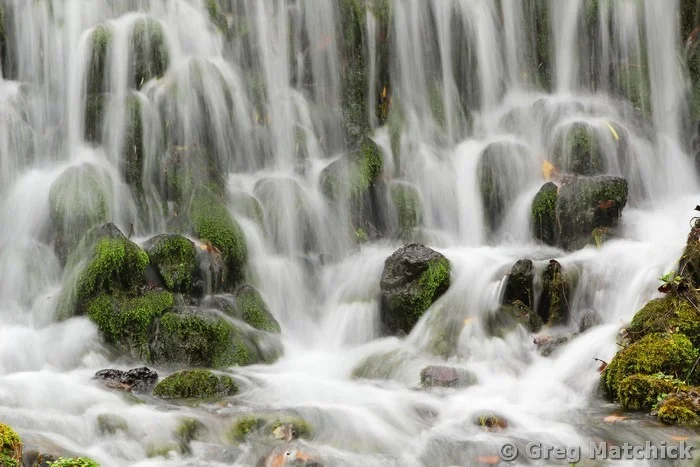 Reed Spring Cascade
