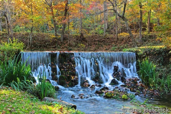 Reed Spring in Autumn