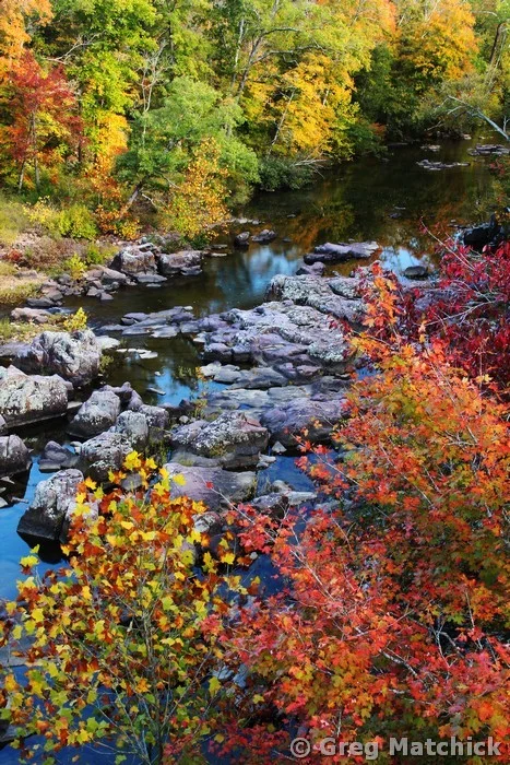 Autumn Along Marble Creek