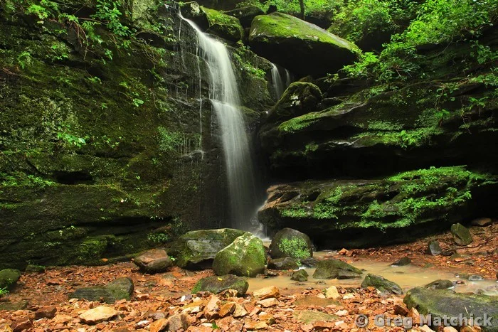 Falling Water in Big Rocky Hollow 1