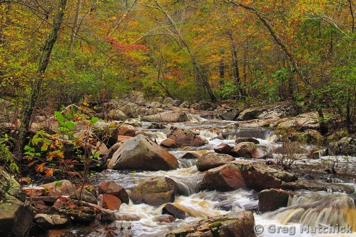 Autumn Colors On Pickle Creek 3 at Hawn State Park