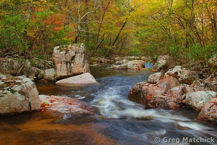 Fall Colors On Pickle Creek 1 at Hawn State Park