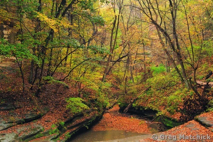 LaSalle Canyon in Autumn 1 at Starved Rock State Park