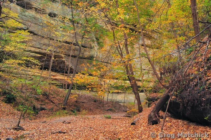 Trail in Tonty Canyon at Starved Rock State Park