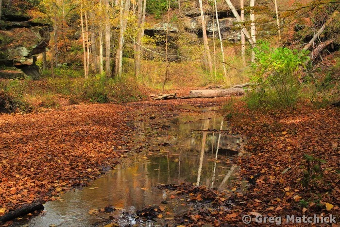 Reflections In a Canyon at Turkey Run State Park