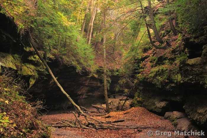 Rocky Hollow at Turkey Run State Park 1