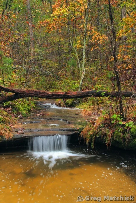 Bone Creek in Autumn at Pickle Springs