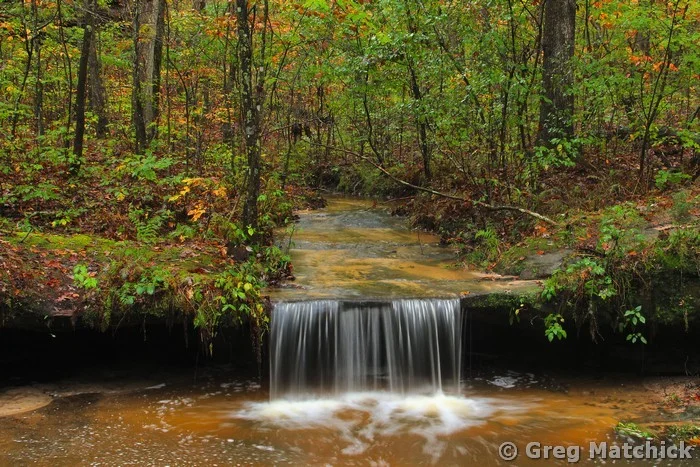 Pickle Spring in Autumn