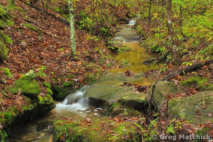Pickle Creek Beginnings at Pickle Springs