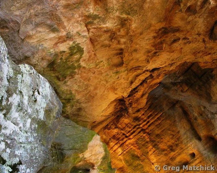 Sandstone Patterns at Pickle Springs