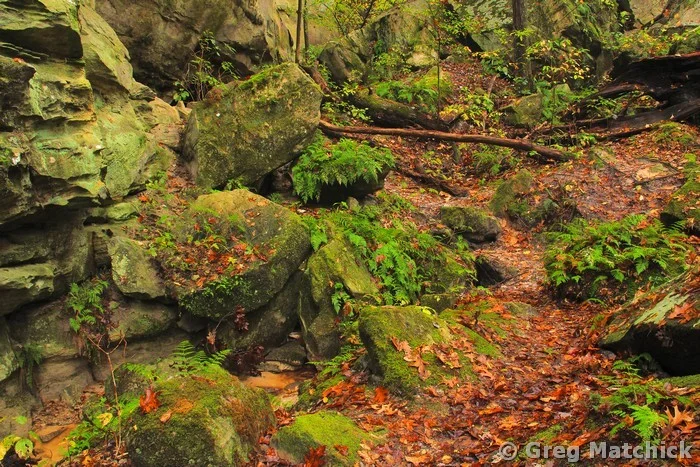 Trail in Rockpile Canyon at Pickle Springs