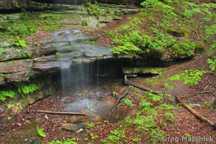 Canyon Floor and Runoff in Hickory Canyons