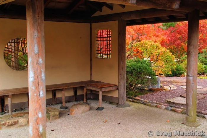 Teahouse and Fall Foliage In a Japanese Garden