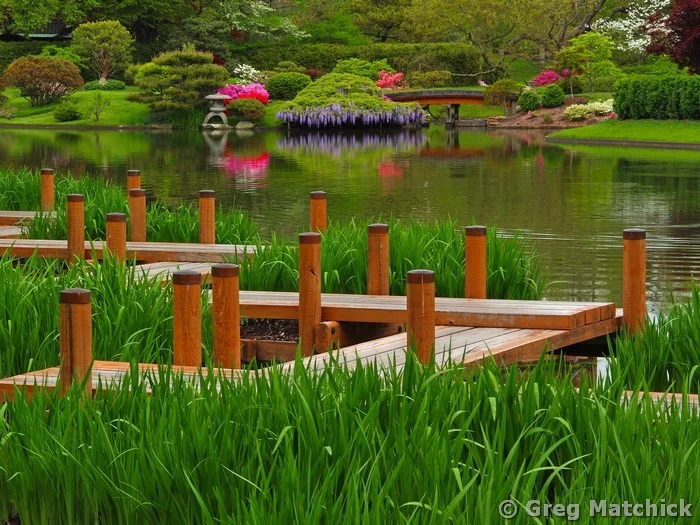 Boardwalk In Springtime 1