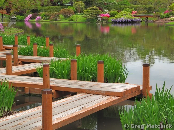 Boardwalk In Springtime 2