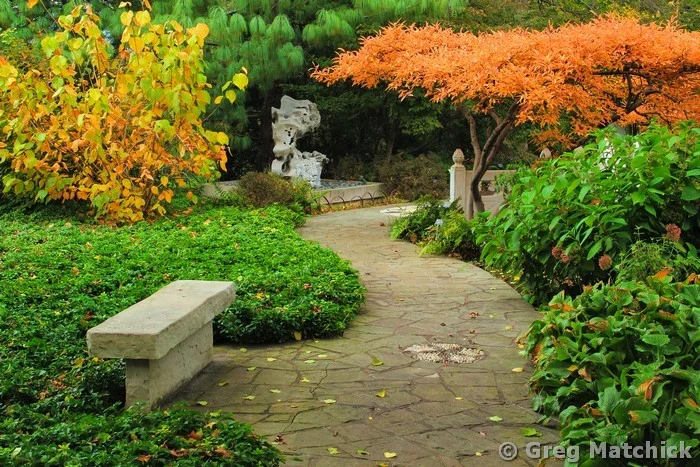 Chinese Garden Path and Fall Foliage