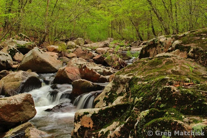 Pickle Creek In Springtime 3 at Hawn State Park