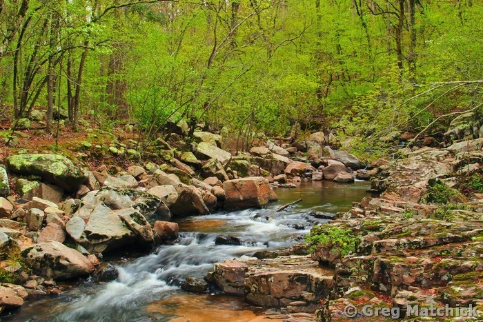 Pickle Creek In Springtime 7 at Hawn State Park