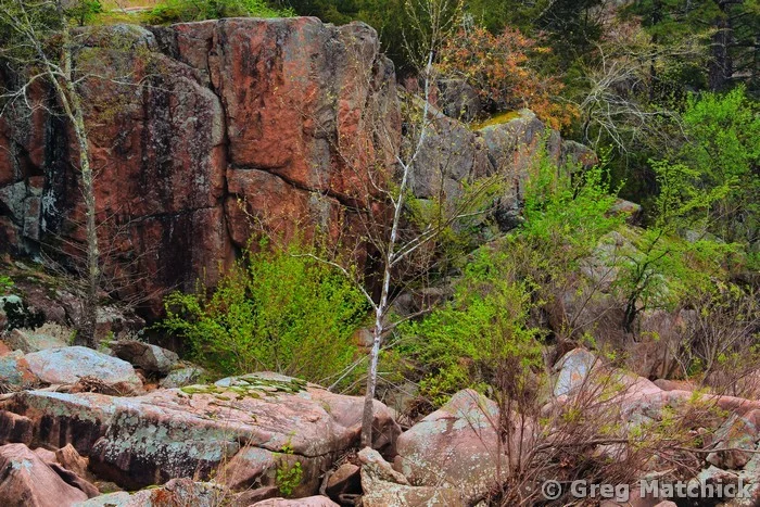 Springtime in Castor River Canyon 1