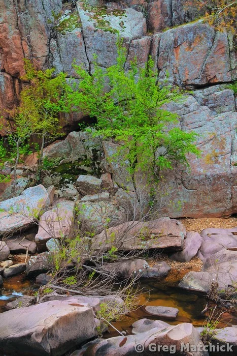 Springtime in Castor River Canyon 2