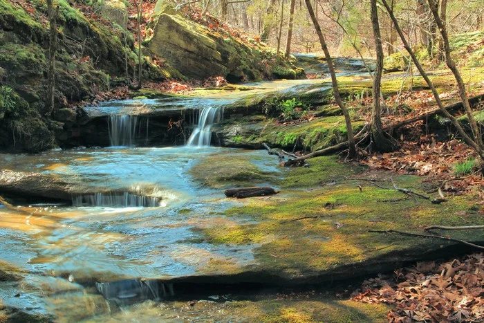 Creek In Dappled Light at Don Robinson State Park 1