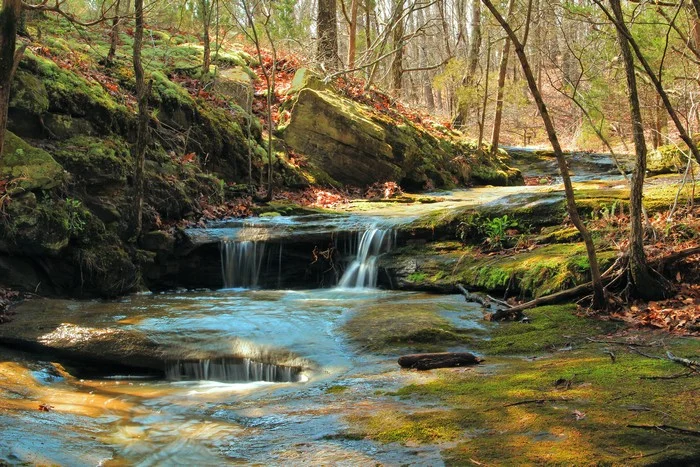 Creek In Dappled Light at Don Robinson State Park 2