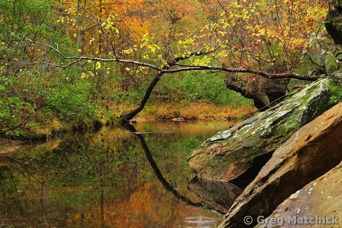 Autumn Serenity on Pickle Creek 2 at Hawn State Park
