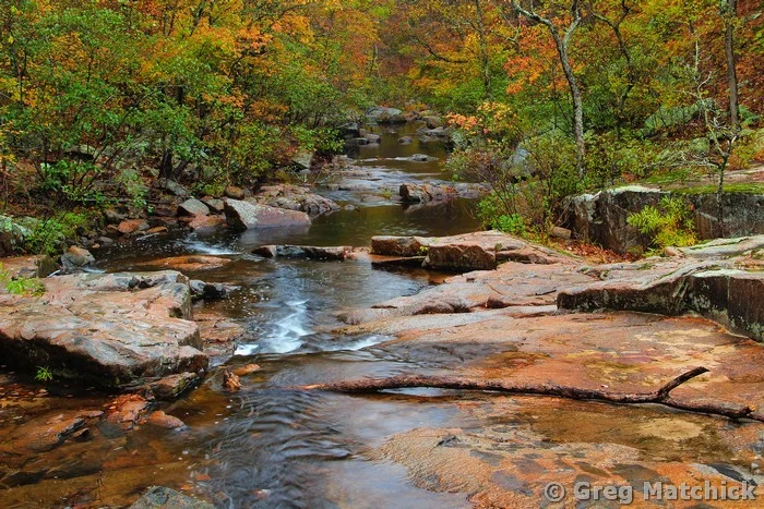 Pickle Creek Shut Ins in Autumn at Hawn State Park