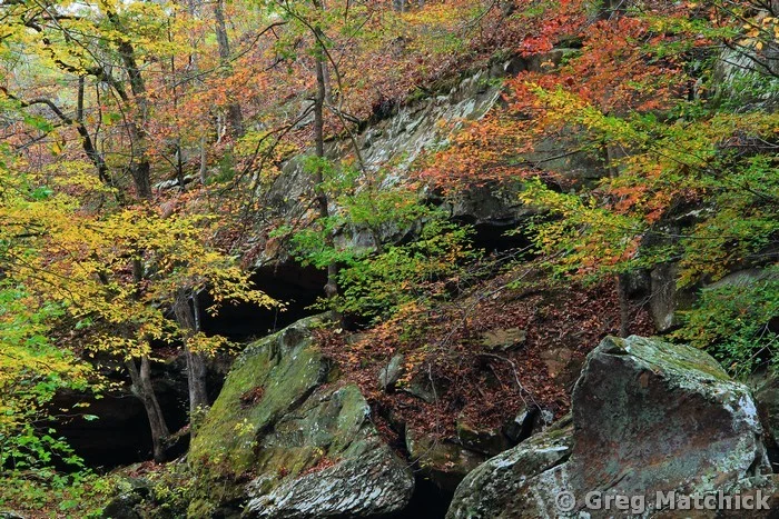 Fall Colors in Piney Creek Ravine