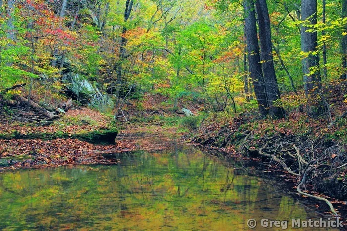 Piney Creek in Autumn 5