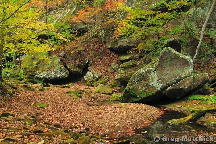 Piney Creek Ravine in Autumn 3