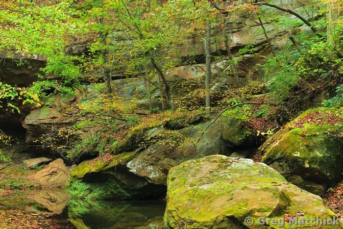 Piney Creek Ravine in Autumn 5