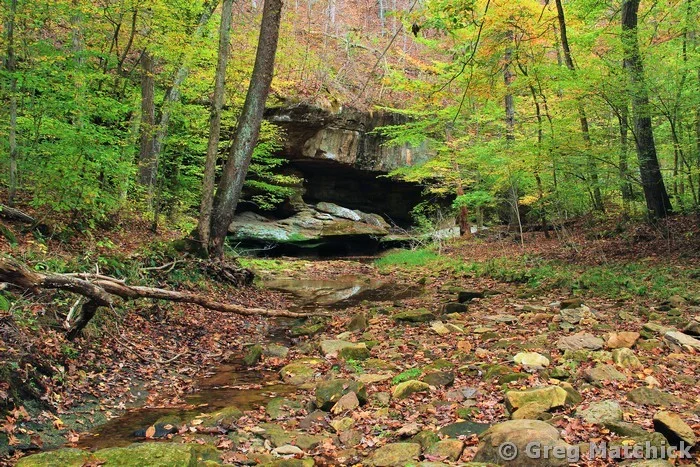 Piney Creek Ravine in Autumn 6