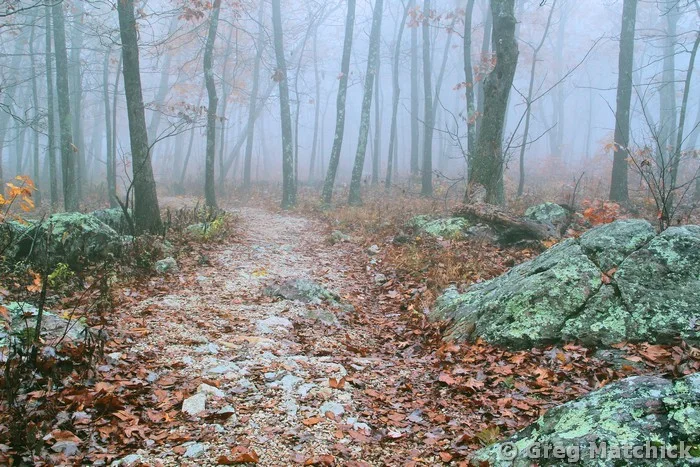 Ozark Trail in the Fog On Taum Sauk Mountain 2