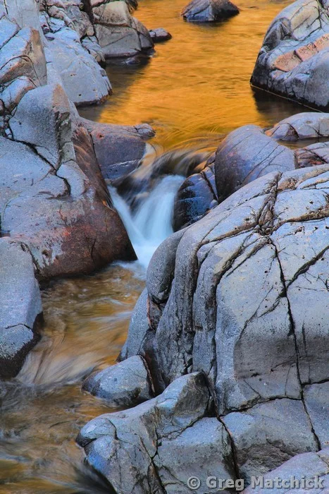 Golden Reflections at Johnsons Shut Ins 5