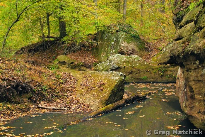 Backwaters in Bay Creek Canyon at Bell Smith Springs 2