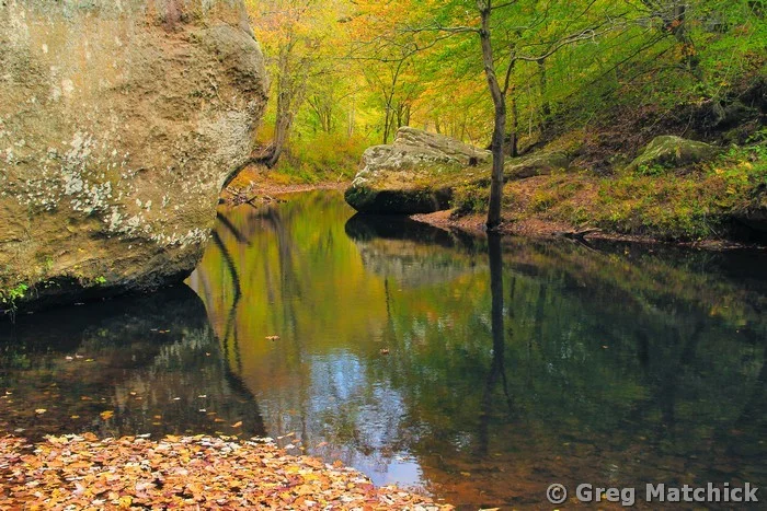 Bay Creek in Autumn at Bell Smith Springs 1