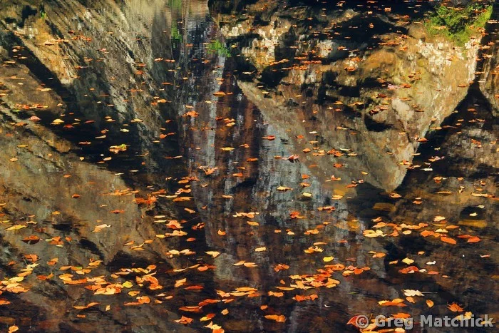 Leaves and Reflections on Bay Creek at Bell Smith Springs
