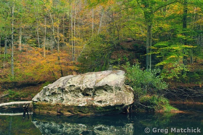 Rock and Fall Landscape on Bay Creek at Bell Smith Springs