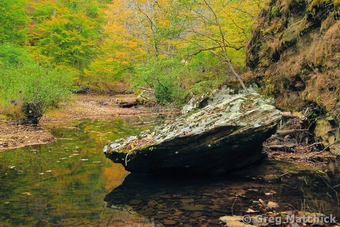 Bay Creek in Autumn at Bell Smith Springs 3