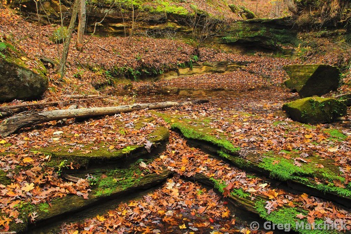 Fall Patterns in a Canyon at Don Robinson State Park 1