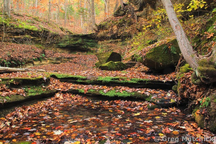 Fall Patterns in a Canyon at Don Robinson State Park 2