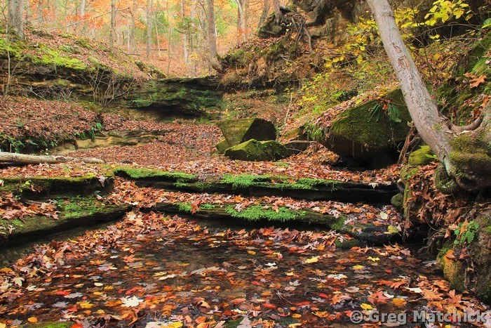 Fall Patterns in a Canyon at Don Robinson State Park 2