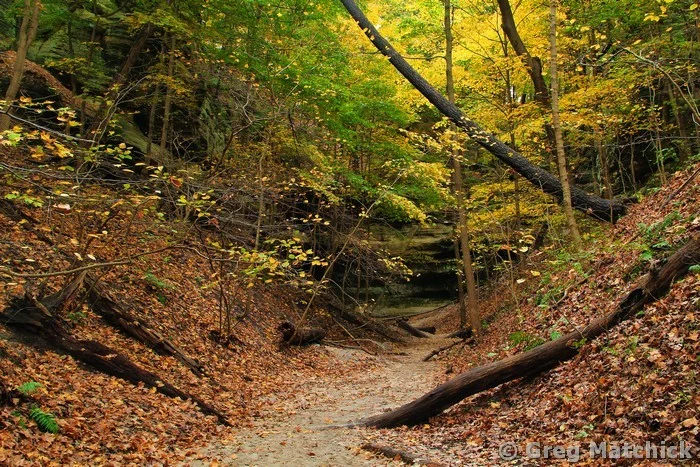 Fall in Lonetree Canyon 1 at Starved Rock State Park
