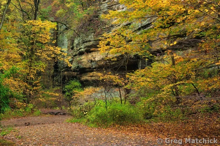 Fall in Basswood Canyon at Starved Rock State Park